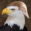 Eagle Trump