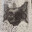 PAVLOV