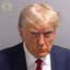 The Don