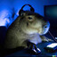 capybara gaming experience