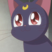 squxwk - steam id 76561199030079928