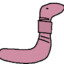 Worm8