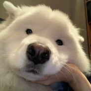 魔法少女郭德纲