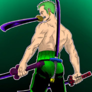 Booty hunter zoro