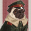 JUST A PUG SOVIET