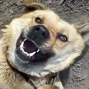 ХОРОШИЙ МАЛЬЧИК