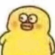 鸭鸭要自信亿点