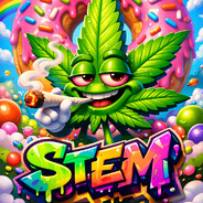 fvstem