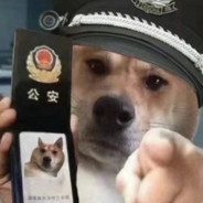 牛奶巧克力小笨B