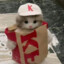 木子汐