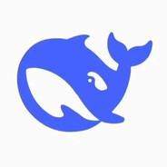 DeepSeeK