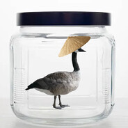 That GOOSE Juice