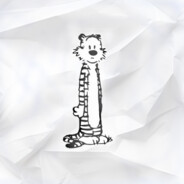 Lost Tiger
