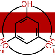 Padetomine