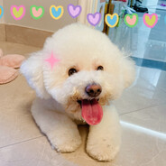 拿仙女棒的小尼莫