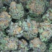 ∑◆Ζ ₩IÐ∋ℜż