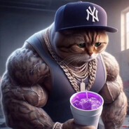 fries (lean cat)