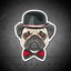 Mr|PUG