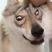 明日方舟是依托史