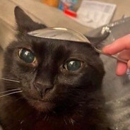 breadhead ♡
