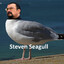 Steven Seagull
