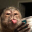 Gaga's avatar