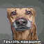 www