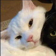 我也不知道叫什么