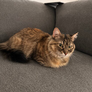 juggbob hitalickpants