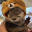 otterly072