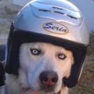 Pepor - steam id 76561197963194769
