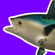 supersonictuna