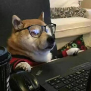 我去车站买橘子