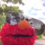 ELMO