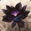 Black_Lotus