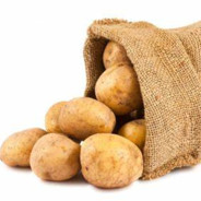 sigmaligmadigmapigmaigmaahhh