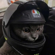 狙击精英  皮皮王文星