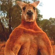 Kangaroo!