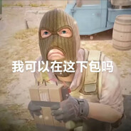 C4砖家