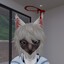 Taz Cat