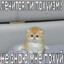 Мистер Пепси