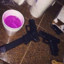 Hardhead
