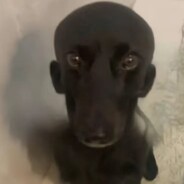 MOPS - steam id 76561199038814906