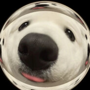 醒了不起的派大星