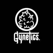 GyNeTiCs