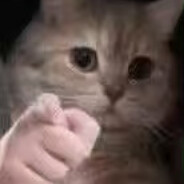 幼儿园的大王FRIENDA