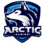 Artic