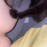 手举裤衩迎风跑66