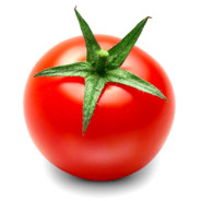 超级无敌暴龙战士