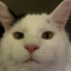Androz